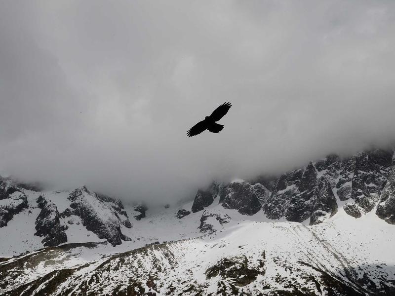 失眠飞行<br>bcxjjkz.cn 凌晨三点清醒
